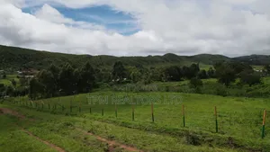 Plots in Kamangu Kikuyu
