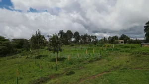 Plots in Kamangu Kikuyu