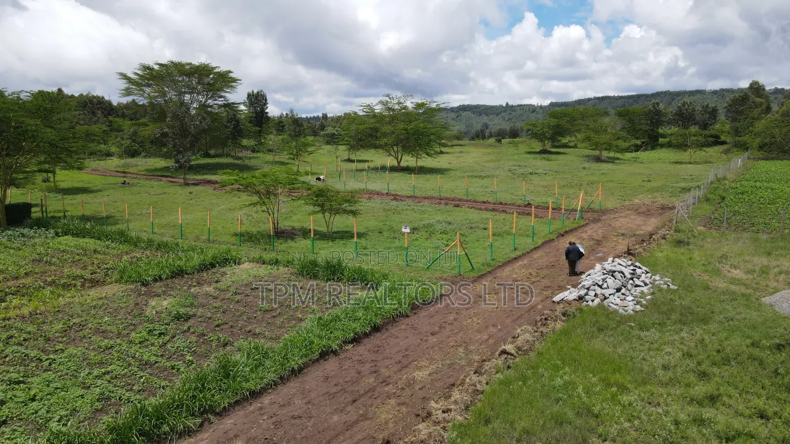 Plots In Kikuyu