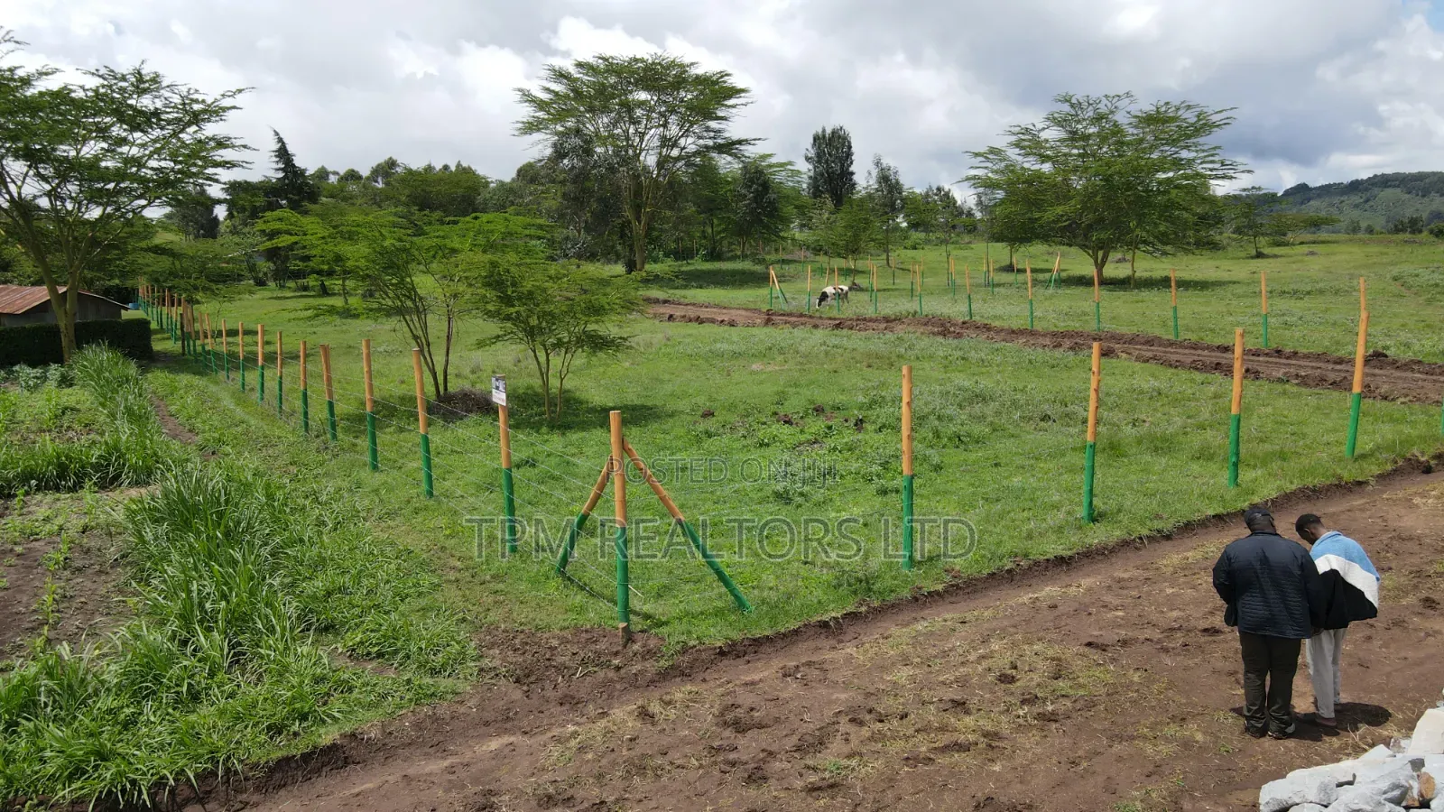 Plots In Kikuyu