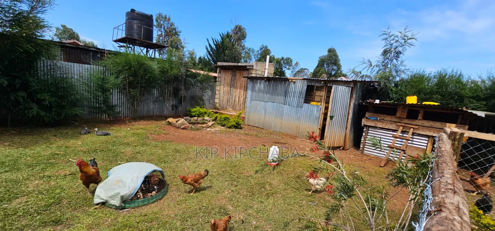 2bdrm House in Kipkorgot Sunview, Hillside for sale