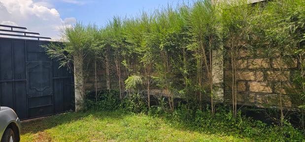 2bdrm House in Kipkorgot Sunview, Hillside for sale - thumbnail 13