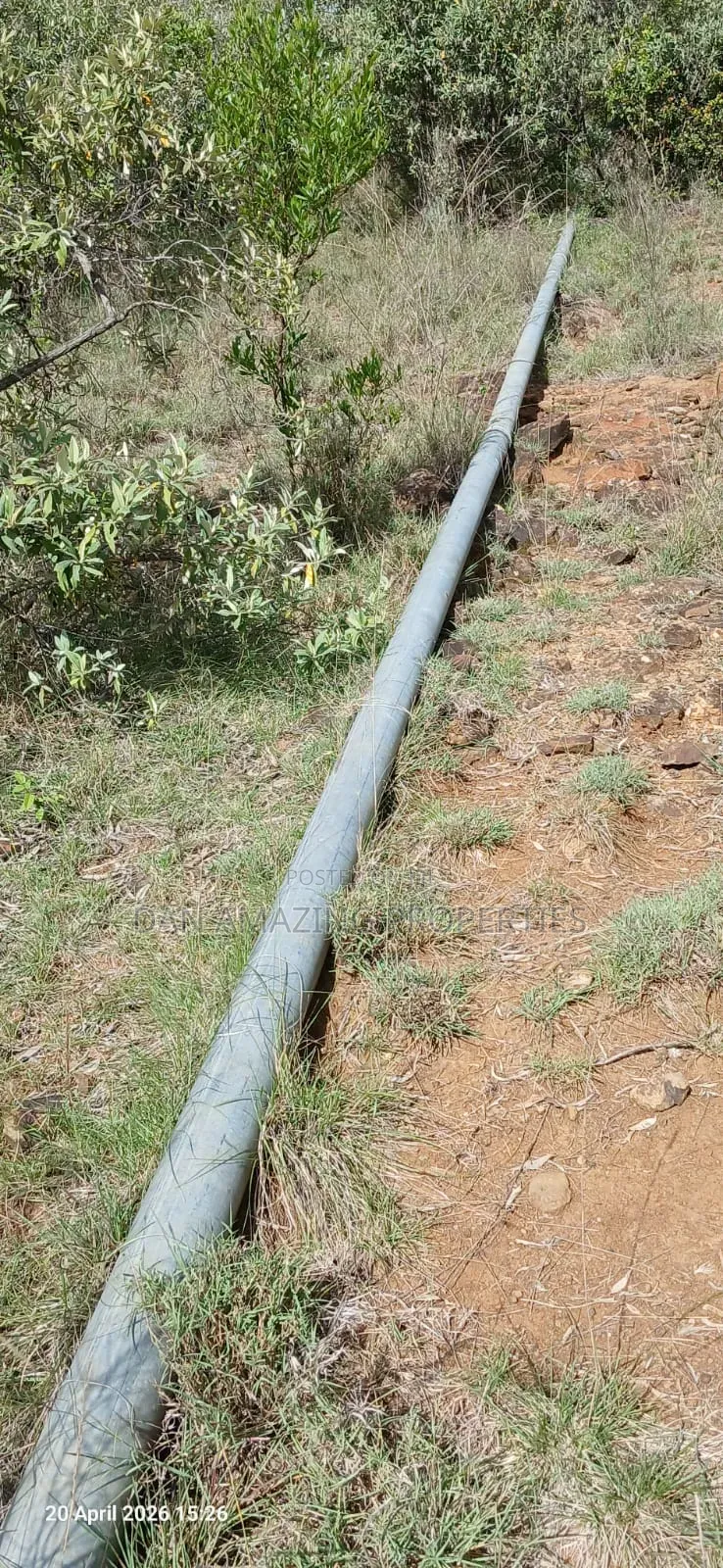 4 Bedrooms Farm House on 85 Acres With 2 Borehole Ndarangwa for Sale
