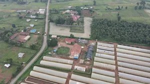 12 Acres Farm in Thigio Near Dagoretti Rd