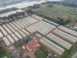 12 Acres Farm in Thigio Near Dagoretti Rd