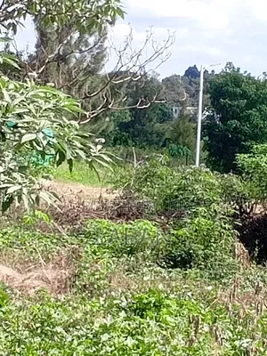 50x100 Commercial Plot Amani Rigde