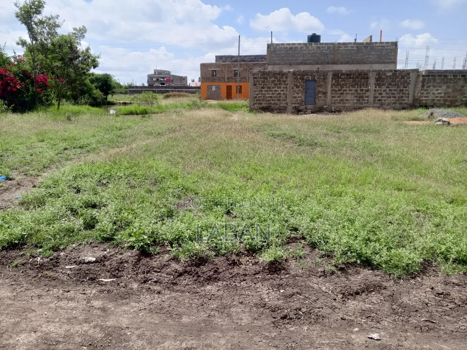 Juja Mastoo 50x100