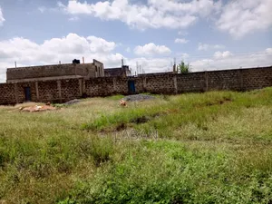Juja Mastoo 50x100