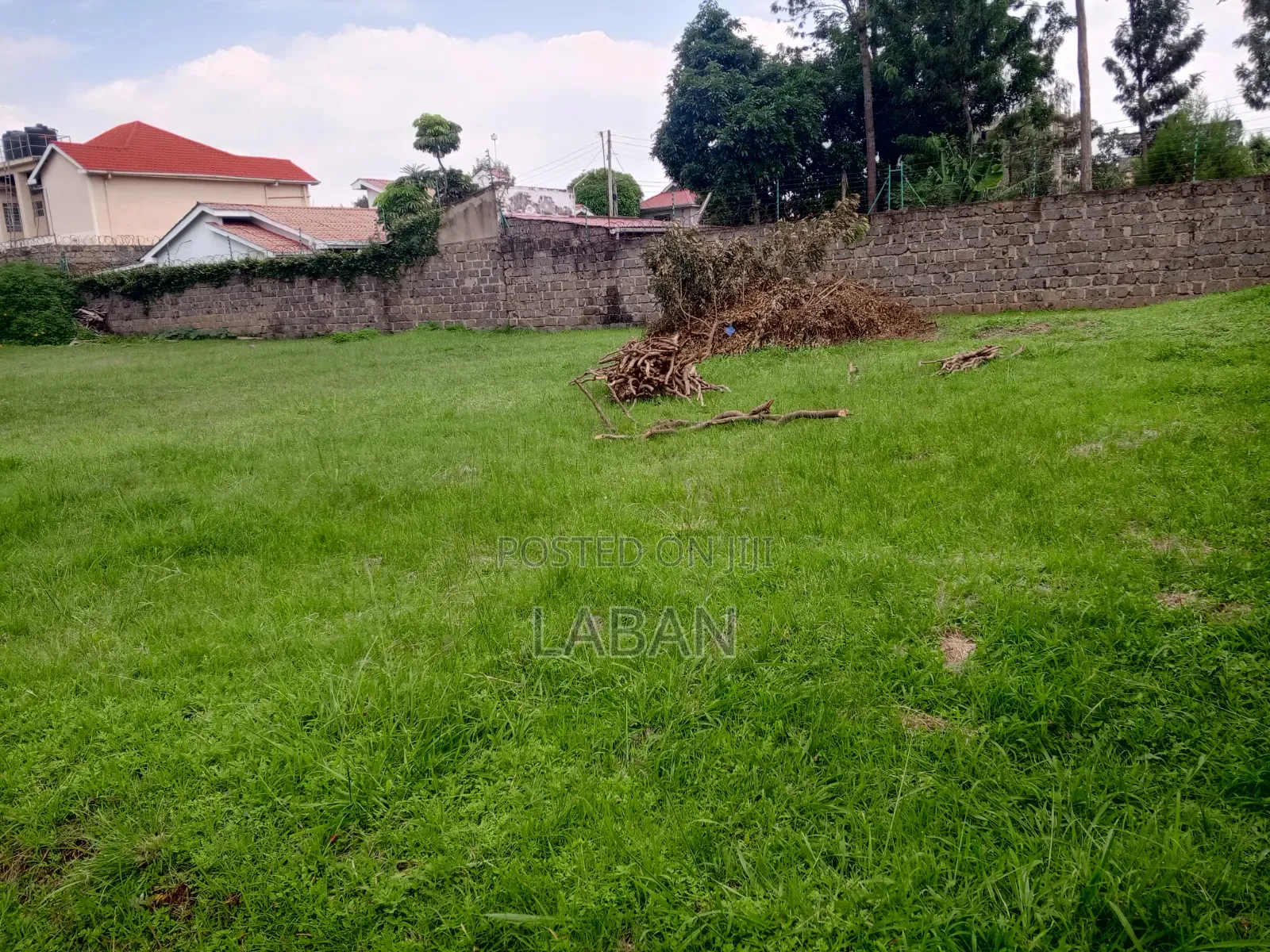 2(50x100) Acre Plots