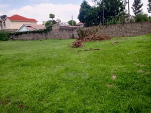 2(50x100) Acre Plots