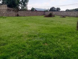 2(50x100) Acre Plots