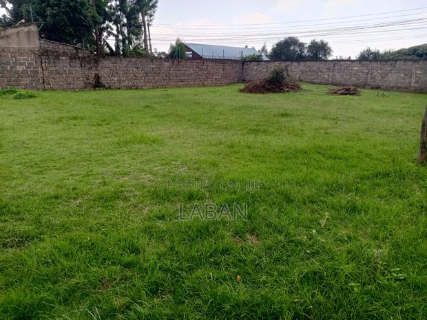 2(50x100) Acre Plots - thumbnail 4