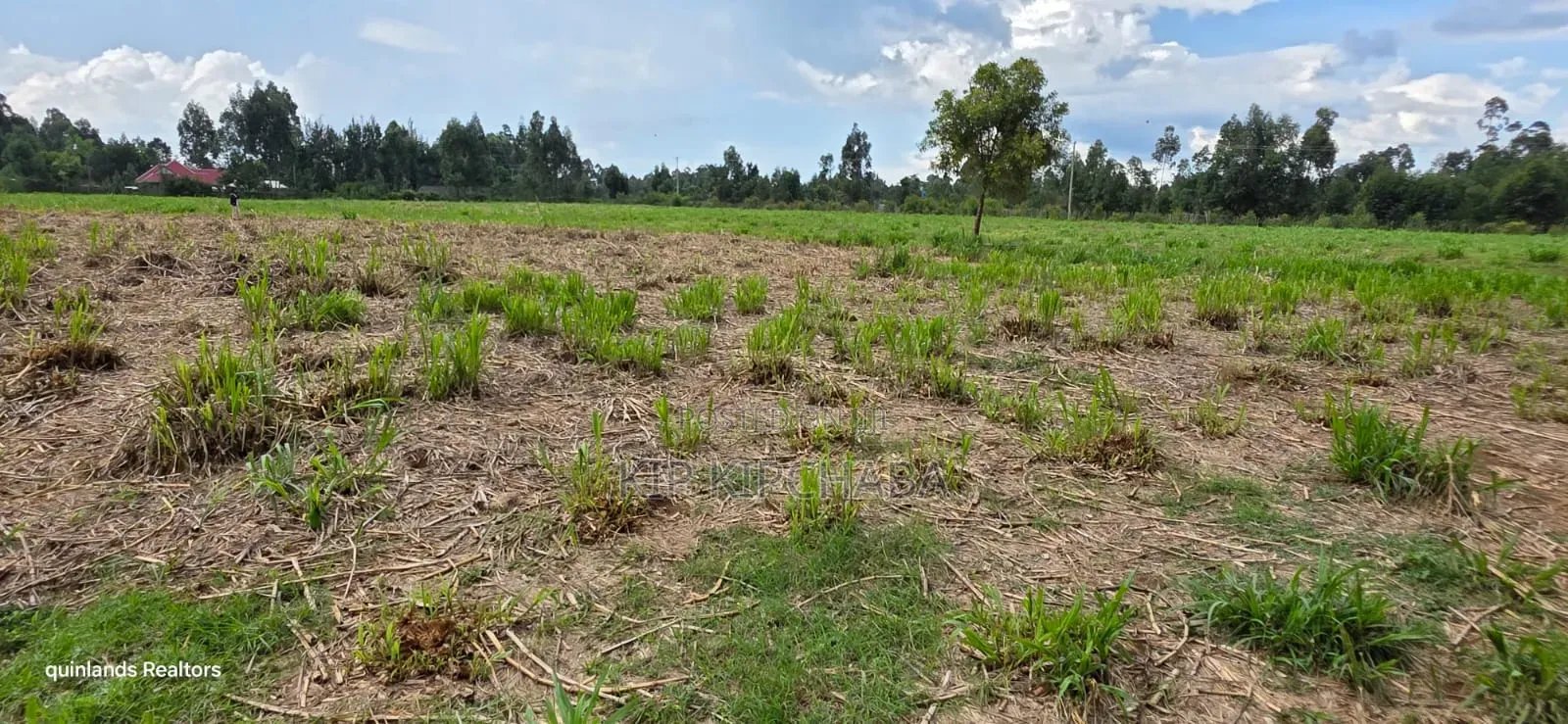 6 Acres for Sale in Kapsetet Bypass Eldoret