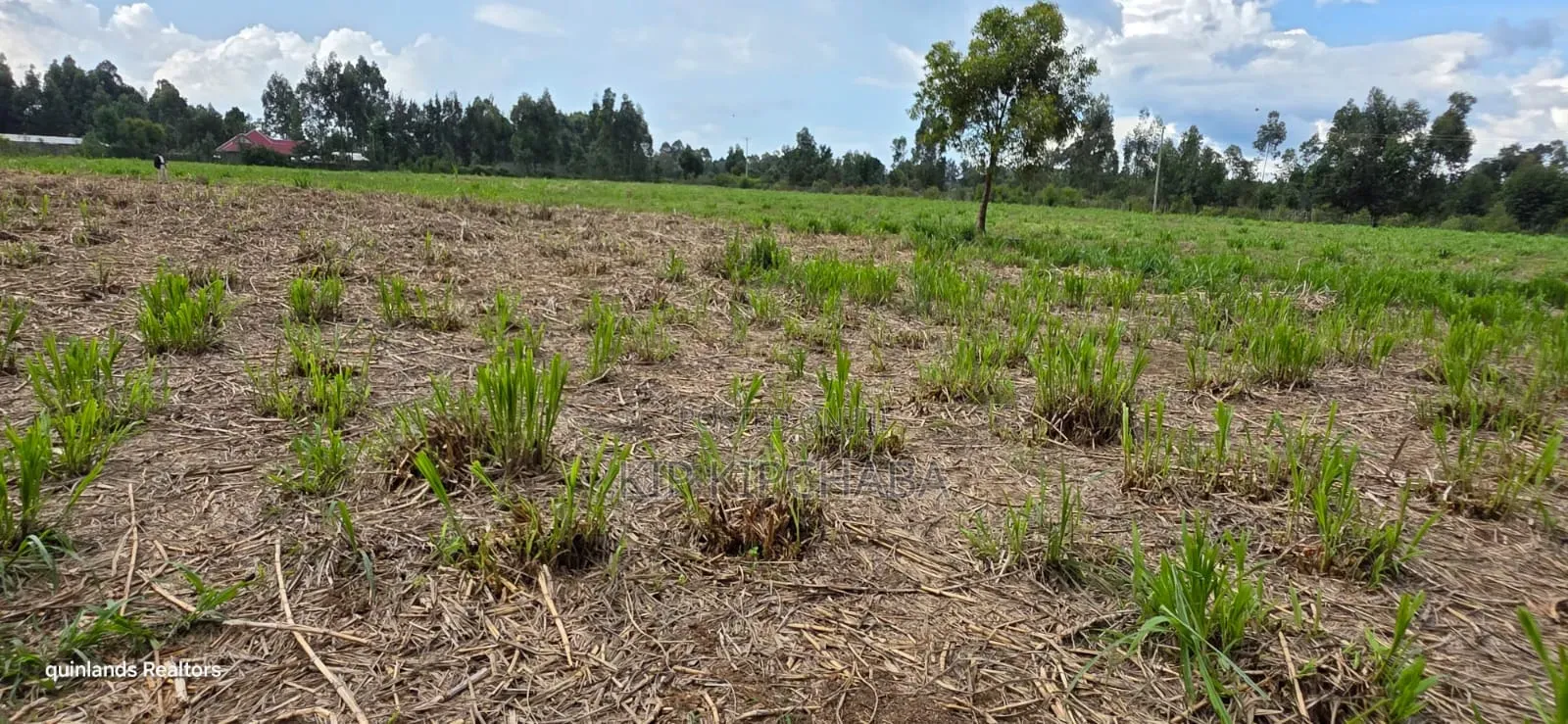 6 Acres for Sale in Kapsetet Bypass Eldoret