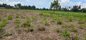 6 Acres for Sale in Kapsetet Bypass Eldoret