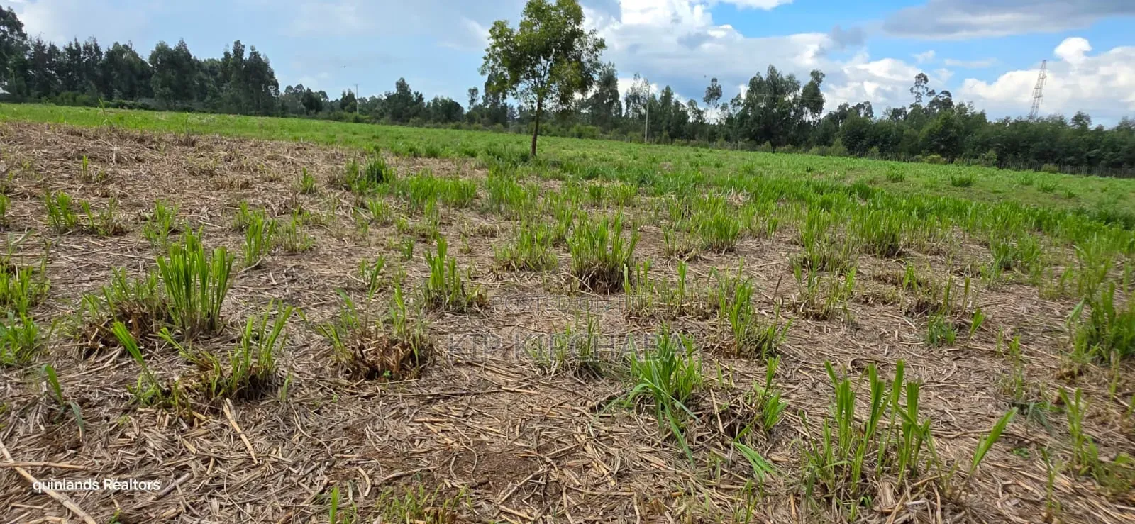 6 Acres for Sale in Kapsetet Bypass Eldoret