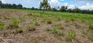 6 Acres for Sale in Kapsetet Bypass Eldoret