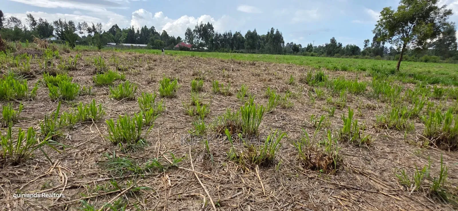 6 Acres for Sale in Kapsetet Bypass Eldoret