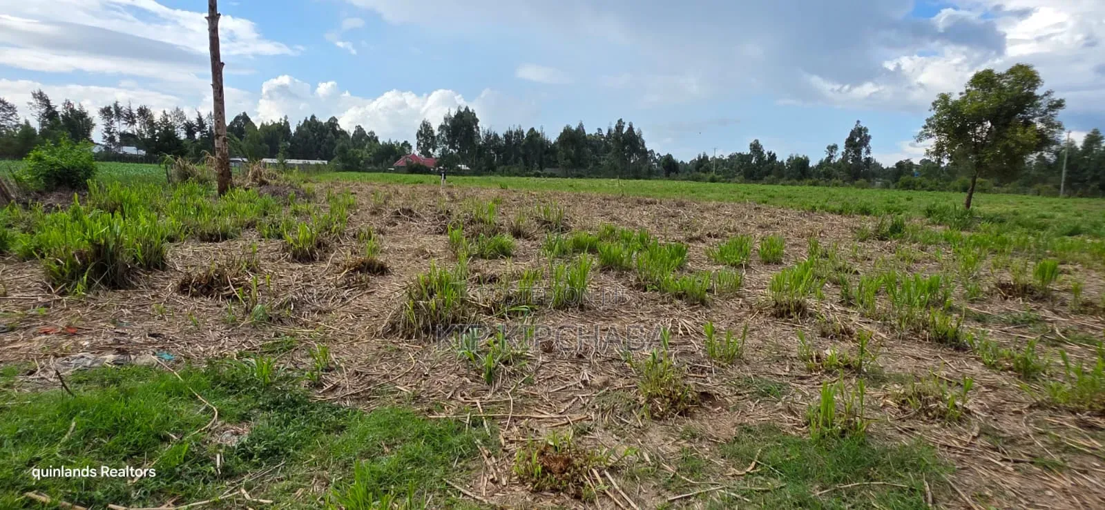 6 Acres for Sale in Kapsetet Bypass Eldoret