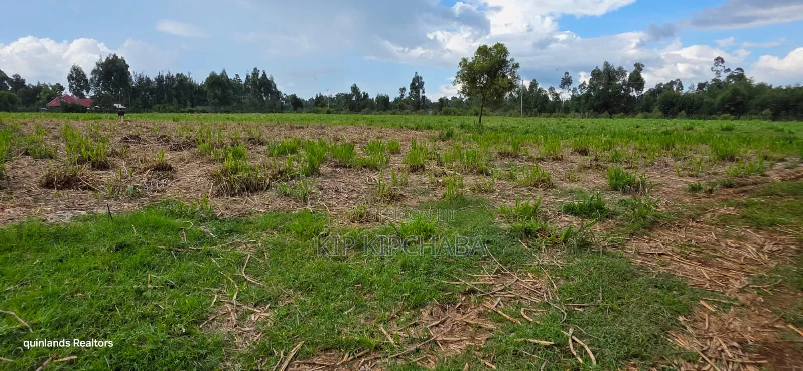 6 Acres for Sale in Kapsetet Bypass Eldoret