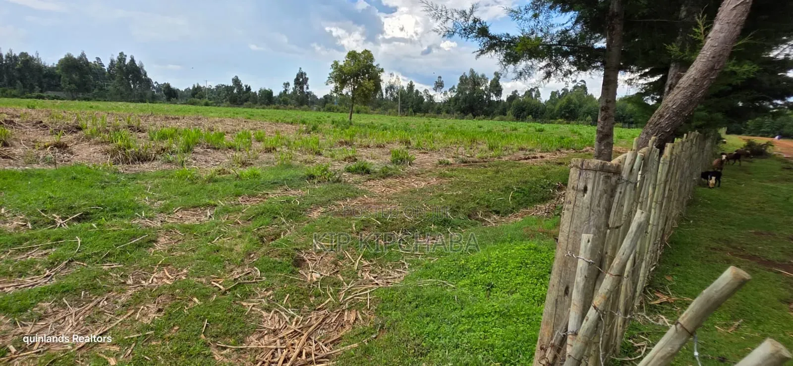 6 Acres for Sale in Kapsetet Bypass Eldoret