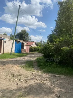 100*100 Plot for Sale in Ruai Town