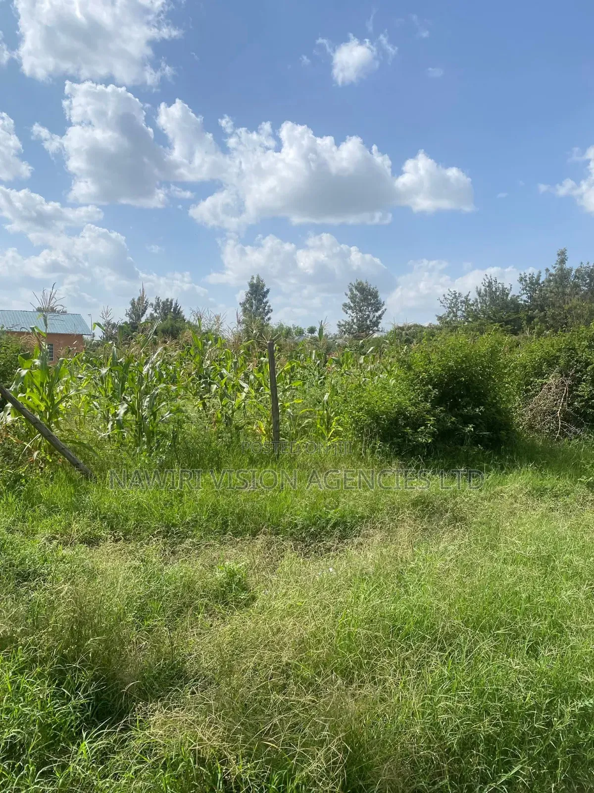 100*100 Plot for Sale in Ruai Town