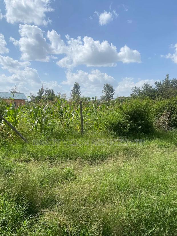 100*100 Plot for Sale in Ruai Town - thumbnail 6