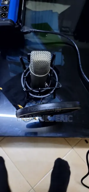 Microphone