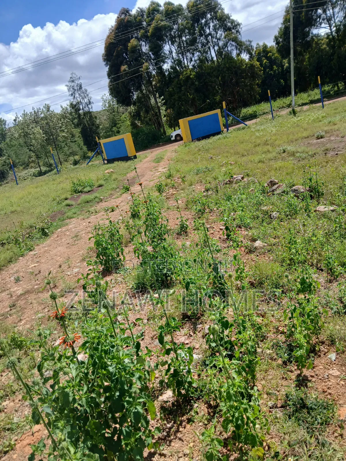 Residential Plots in Kikiyu.Ckk