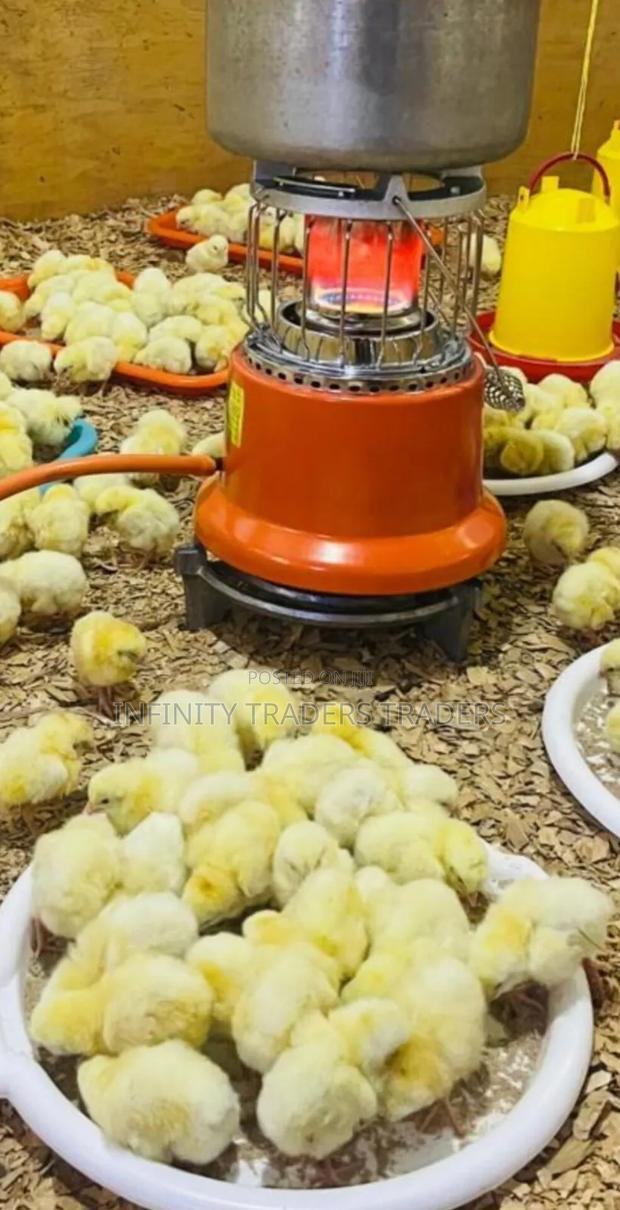 Ampia Advanced Efficient Gas Chick Brooder - main view