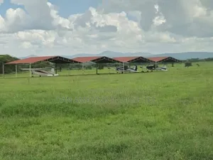 Functional Ranch of 540 Acres for Sale in Bisil Kajiado With Airstrip
