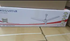 Ceiling Fan