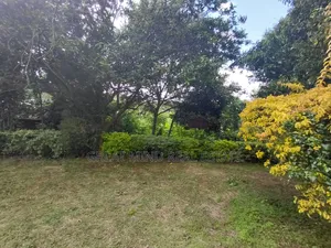 Land on Sale