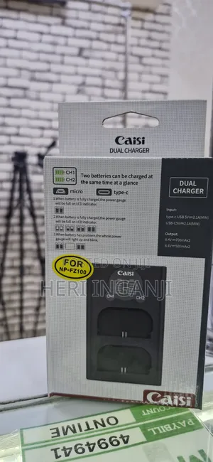 Caisi Fz100 Dual Charger