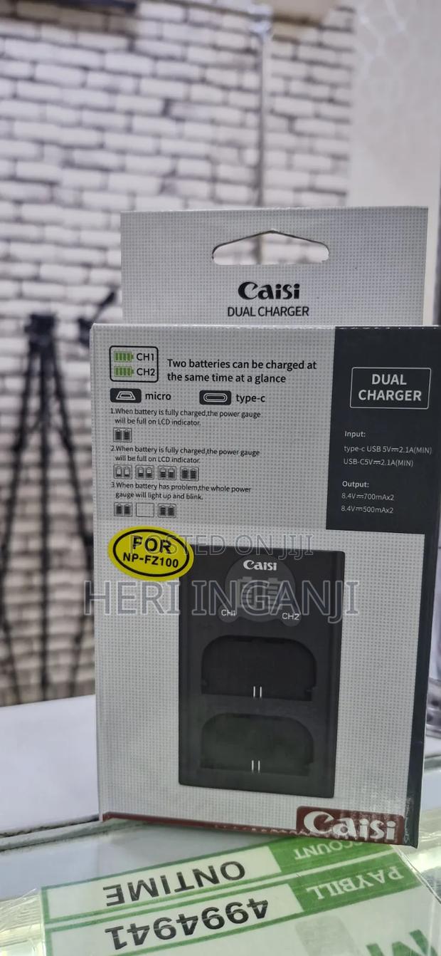 Caisi Fz100 Dual Charger