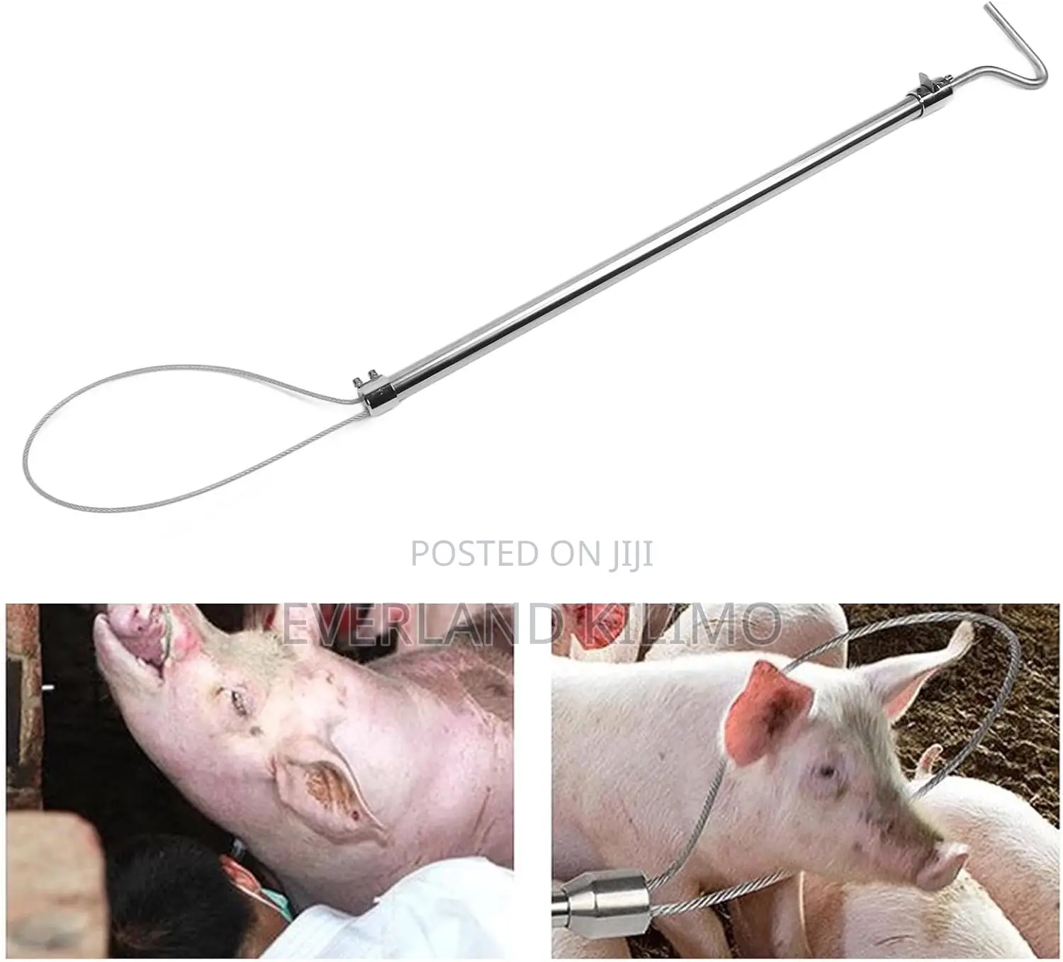 Pig Restrainer - Stainless Handle