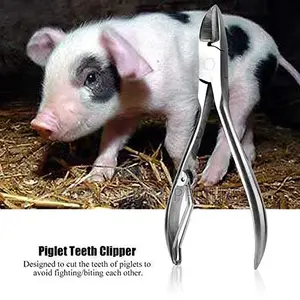 Stainless Pig Teeth Clipper/Cutter