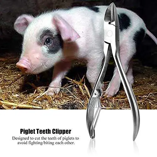 Stainless Pig Teeth Clipper/Cutter