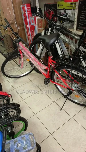 Size 26 Lady Bicycle With Front Basket Back Seat