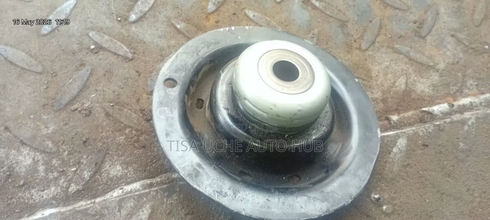 Shock Mountain Bearing
