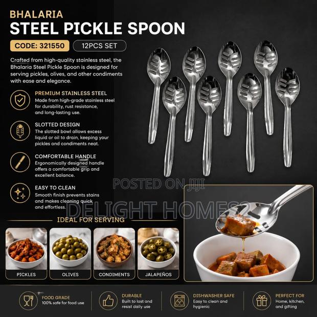 Bhalaria Steel Pickle Spoon_b
