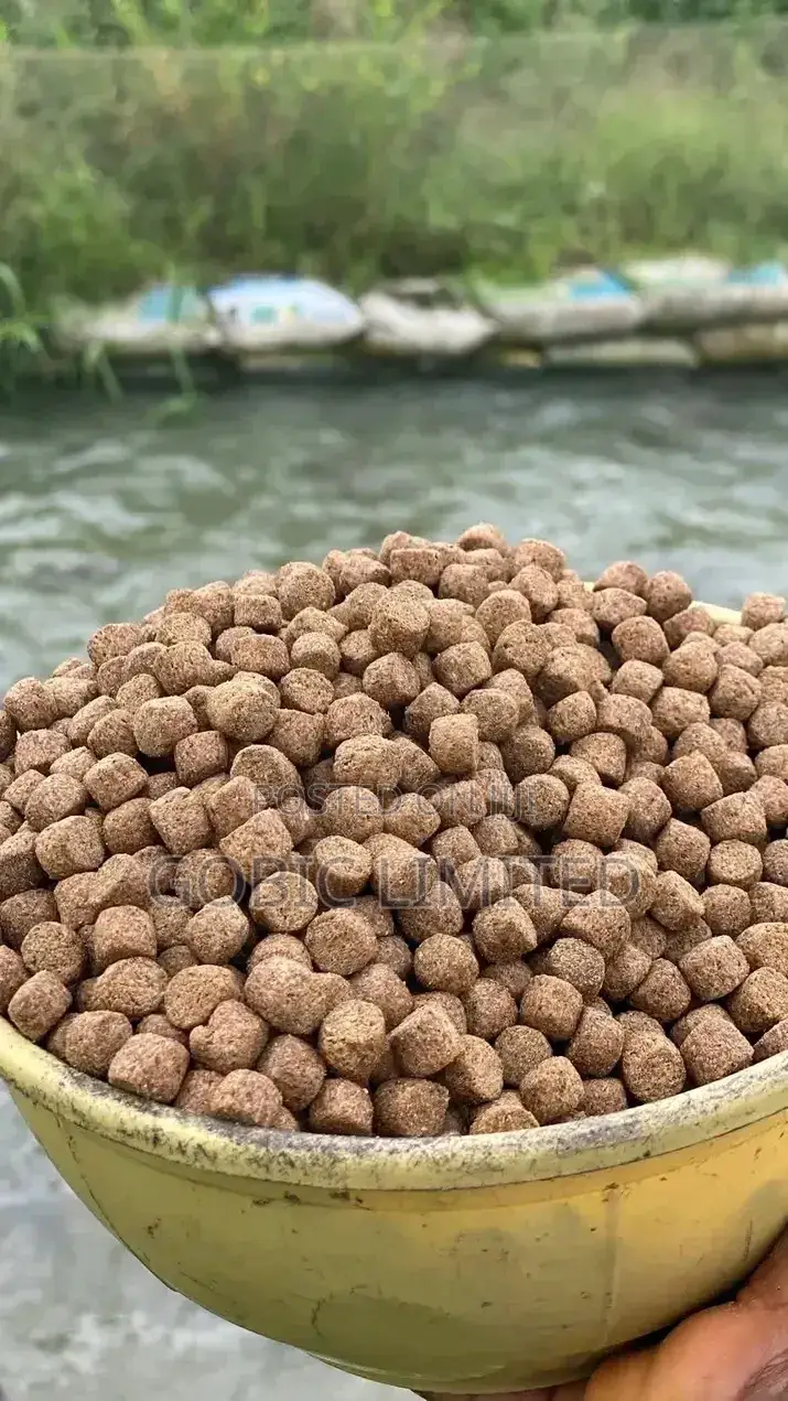 Fish Feeds on Sale