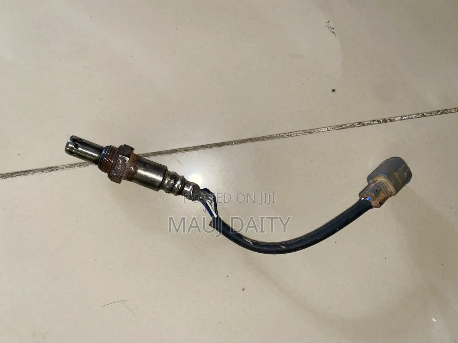 Oxygen Sensor