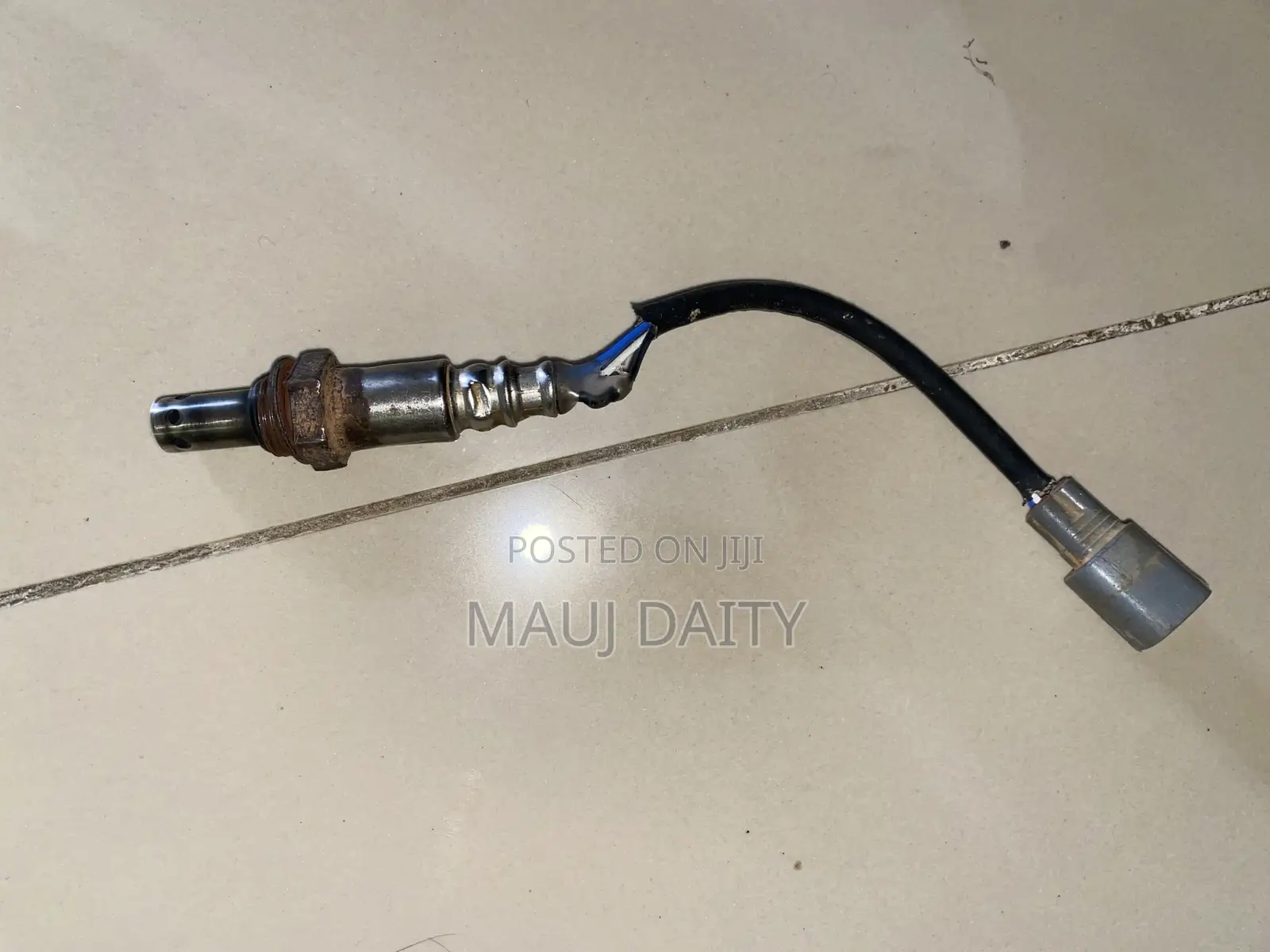 Oxygen Sensor