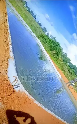 Dam Construction Services
