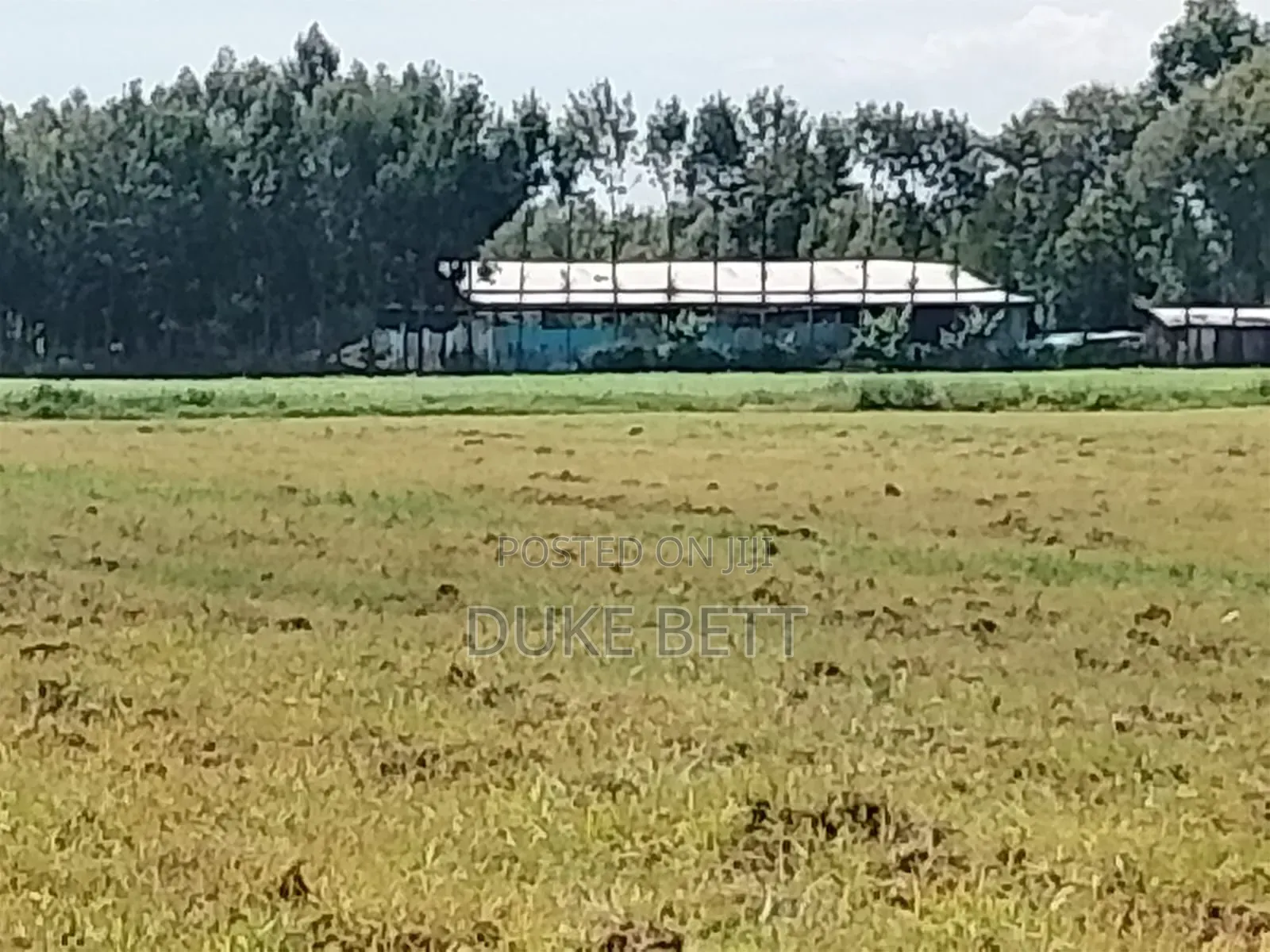 8 Acres for Sale