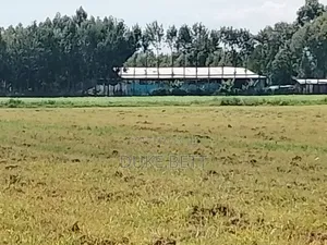 8 Acres for Sale