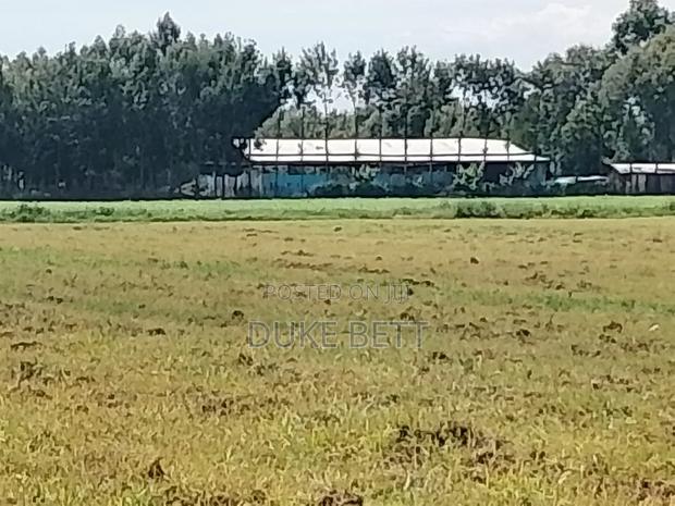 8 Acres for Sale - thumbnail 2