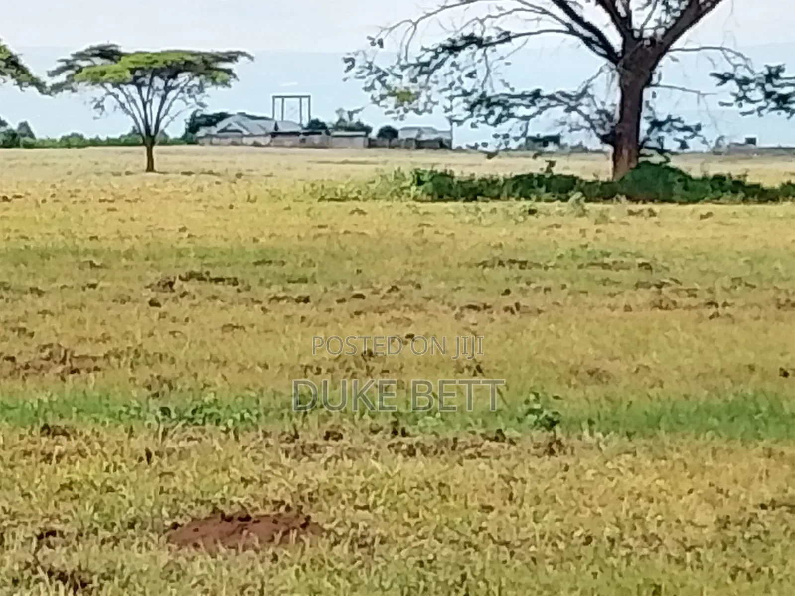 8 Acres for Sale